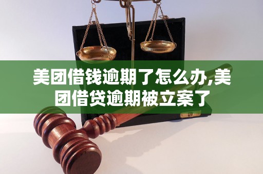 美团借钱逾期了怎么办,美团借贷逾期被立案了