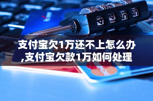 支付宝欠1万还不上怎么办,支付宝欠款1万如何处理