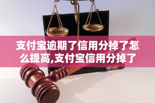 支付宝逾期了信用分掉了怎么提高,支付宝信用分掉了怎么恢复