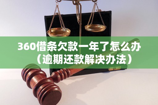 360借条欠款一年了怎么办（逾期还款解决办法）