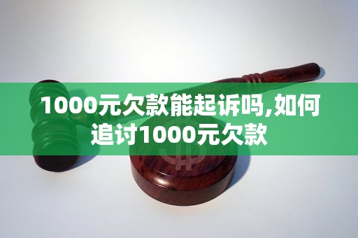 1000元欠款能起诉吗,如何追讨1000元欠款