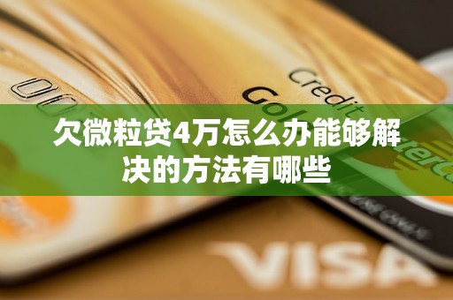 欠微粒贷4万怎么办能够解决的方法有哪些