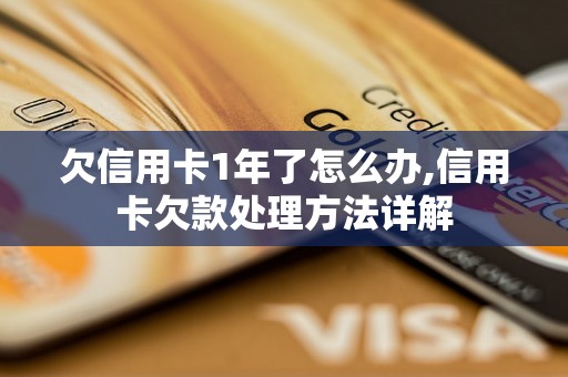 欠信用卡1年了怎么办,信用卡欠款处理方法详解