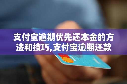 支付宝逾期优先还本金的方法和技巧,支付宝逾期还款应该注意什么