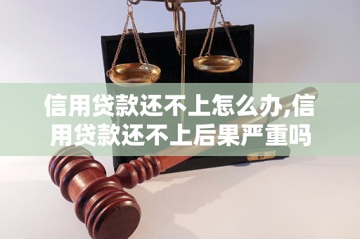 信用贷款还不上怎么办,信用贷款还不上后果严重吗