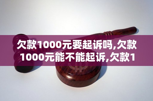 欠款1000元要起诉吗,欠款1000元能不能起诉,欠款1000元是否值得起诉