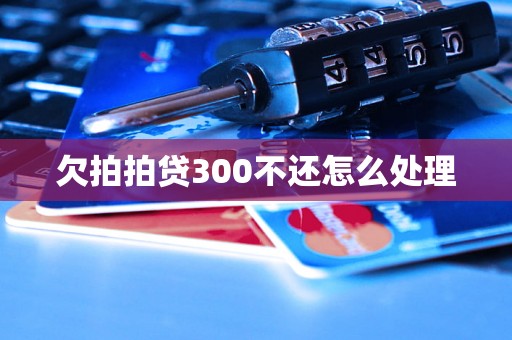 欠拍拍贷300不还怎么处理