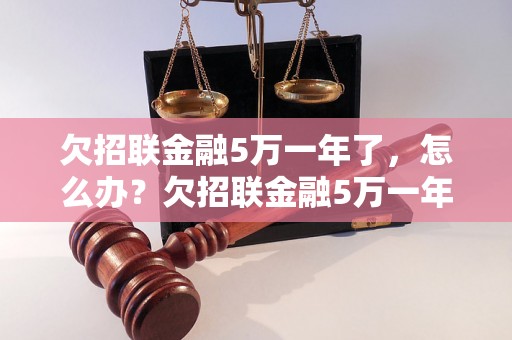 欠招联金融5万一年了，怎么办？欠招联金融5万一年了，如何解决？