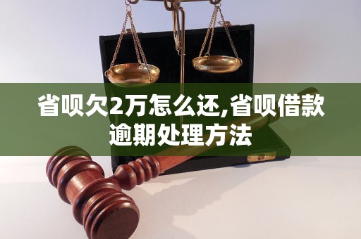 省呗欠2万怎么还,省呗借款逾期处理方法