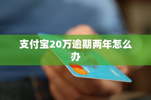 支付宝20万逾期两年怎么办