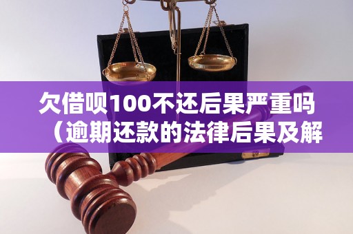 欠借呗100不还后果严重吗（逾期还款的法律后果及解决方法）