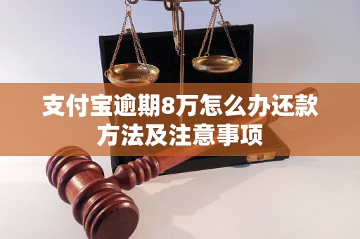 支付宝逾期8万怎么办还款方法及注意事项