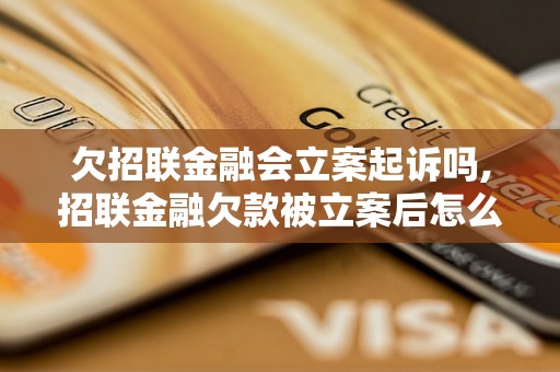 欠招联金融会立案起诉吗,招联金融欠款被立案后怎么办