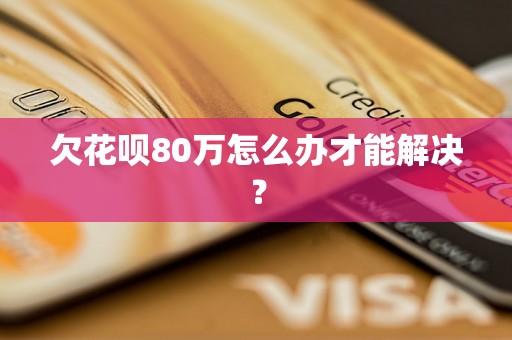 欠花呗80万怎么办才能解决？