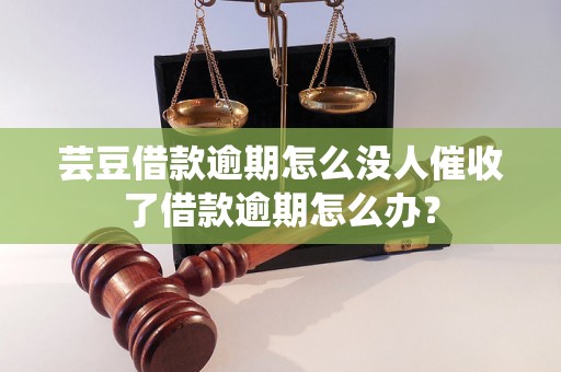 芸豆借款逾期怎么没人催收了借款逾期怎么办？