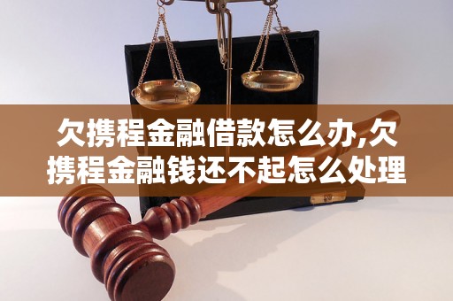 欠携程金融借款怎么办,欠携程金融钱还不起怎么处理