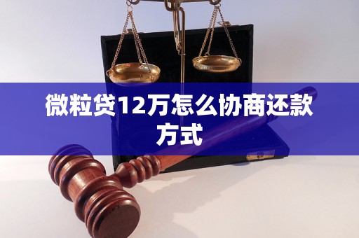 微粒贷12万怎么协商还款方式