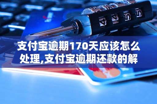 支付宝逾期170天应该怎么处理,支付宝逾期还款的解决办法