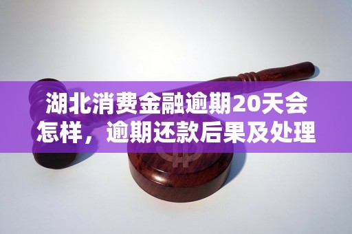 湖北消费金融逾期20天会怎样，逾期还款后果及处理方法