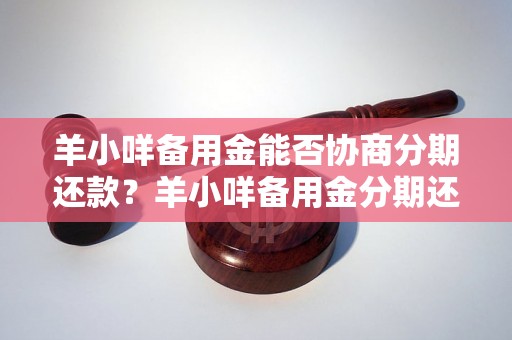 羊小咩备用金能否协商分期还款？羊小咩备用金分期还款政策解析