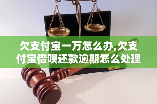 欠支付宝一万怎么办,欠支付宝借呗还款逾期怎么处理