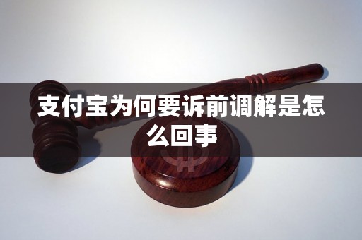 支付宝为何要诉前调解是怎么回事