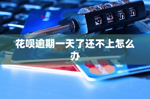 花呗逾期一天了还不上怎么办