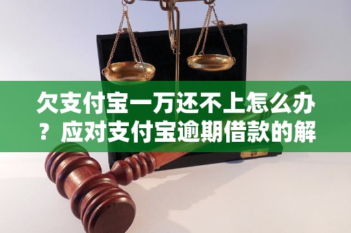 欠支付宝一万还不上怎么办？应对支付宝逾期借款的解决方法