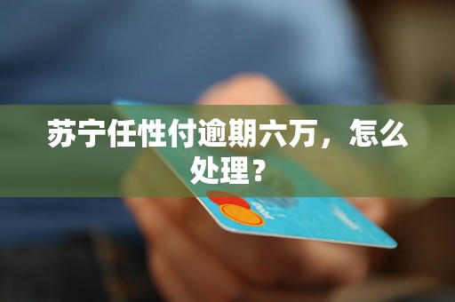 苏宁任性付逾期六万，怎么处理？