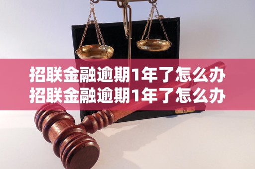 招联金融逾期1年了怎么办招联金融逾期1年了怎么办