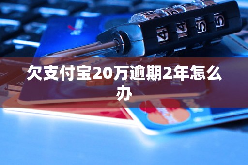 欠支付宝20万逾期2年怎么办