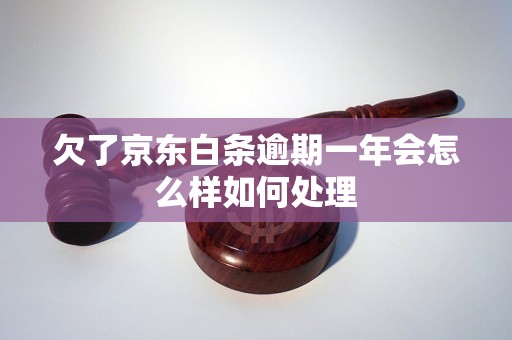 欠了京东白条逾期一年会怎么样如何处理