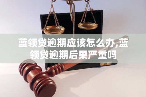 蓝领贷逾期应该怎么办,蓝领贷逾期后果严重吗