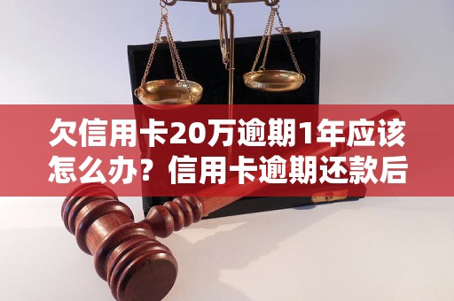 欠信用卡20万逾期1年应该怎么办？信用卡逾期还款后影响如何？