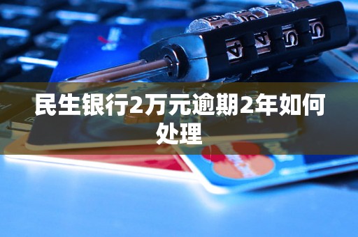 民生银行2万元逾期2年如何处理