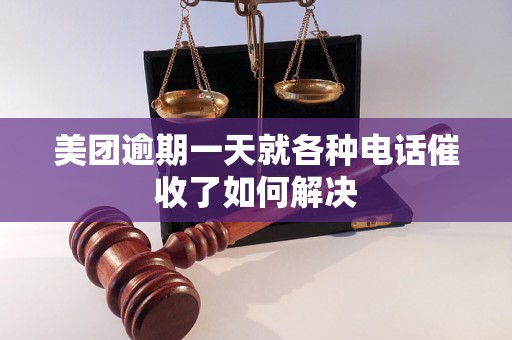 美团逾期一天就各种电话催收了如何解决