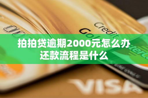 拍拍贷逾期2000元怎么办还款流程是什么