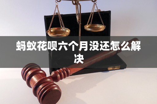 蚂蚁花呗六个月没还怎么解决