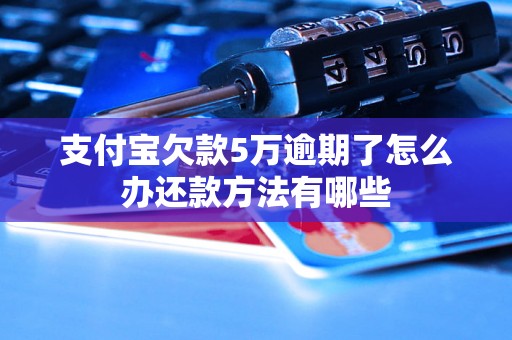 支付宝欠款5万逾期了怎么办还款方法有哪些