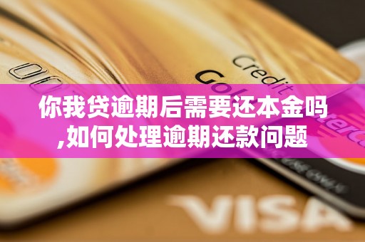 你我贷逾期后需要还本金吗,如何处理逾期还款问题