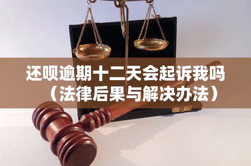 还呗逾期十二天会起诉我吗（法律后果与解决办法）