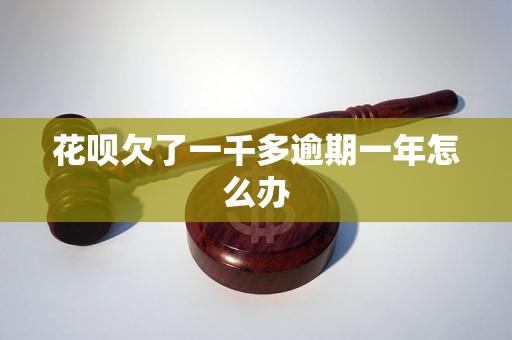 花呗欠了一千多逾期一年怎么办