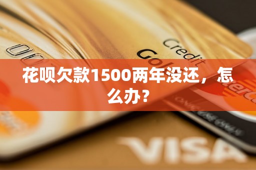 花呗欠款1500两年没还，怎么办？