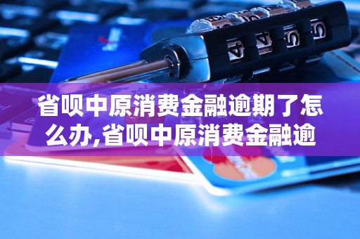 省呗中原消费金融逾期了怎么办,省呗中原消费金融逾期还款流程