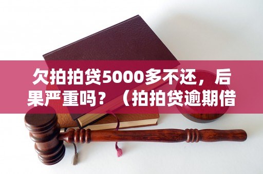 欠拍拍贷5000多不还，后果严重吗？（拍拍贷逾期借款后果及处理方法）