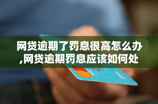 网贷逾期了罚息很高怎么办,网贷逾期罚息应该如何处理