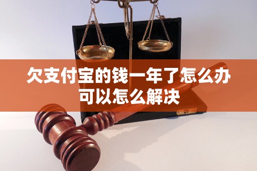 欠支付宝的钱一年了怎么办可以怎么解决