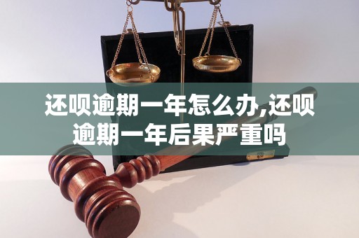 还呗逾期一年怎么办,还呗逾期一年后果严重吗