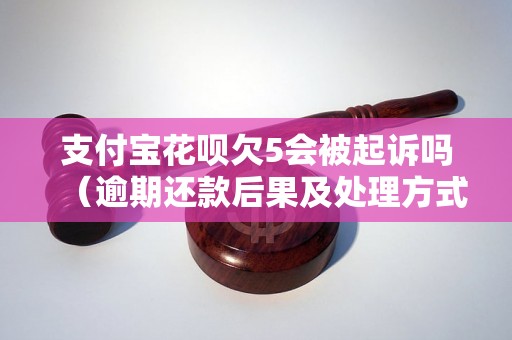 支付宝花呗欠5会被起诉吗（逾期还款后果及处理方式）