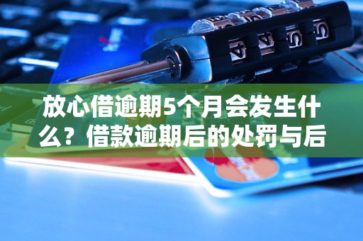 放心借逾期5个月会发生什么？借款逾期后的处罚与后果